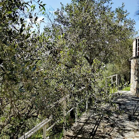 Casun Du Menegottu *