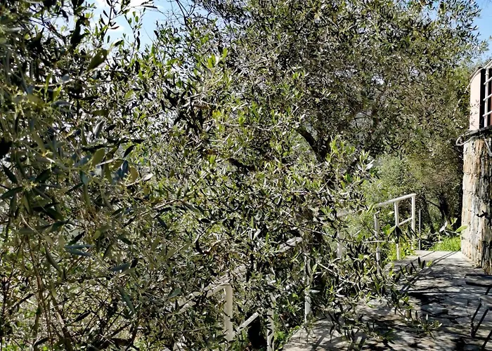 Casun Du Menegottu *